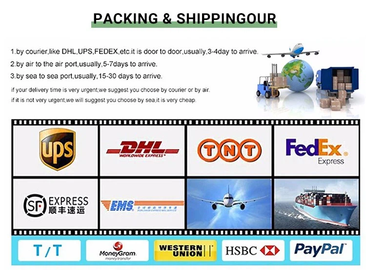 p2024060614361471328